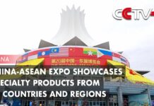 China-ASEAN Expo Showcases Specialty Products from 45 Countries and Regions, 17 September 2023