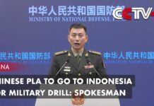 Chinese PLA to Go to Indonesia for Military Drill: Spokesman, 14 October 2023