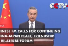 Chinese FM Calls for Continuing China-Japan Peace, Friendship at Bilateral Forum, 22 October 2023
