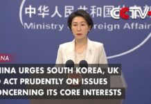 China Urges South Korea, UK to Act Prudently on Issues Concerning Its Core Interests, 24 November 2023