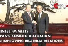 Chinese FM Meets Japan’s Komeito Delegation on Improving Bilateral Relations, 25 November 2023