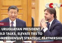 Xi, Uruguayan President Hold Talks, Elevate Ties to Comprehensive Strategic Partnership, 22 November 2023