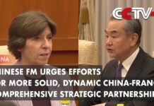Chinese FM Urges Efforts for More Solid, Dynamic China-France Comprehensive Strategic Partnership, 25 November 2023