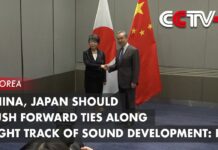China, Japan Should Push forward Ties along Right Track of Sound Development, 26 November 2023