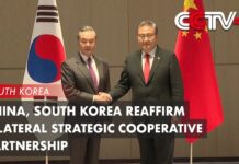 China, South Korea Reaffirm Bilateral Strategic Cooperative Partnership, 26 November 2023