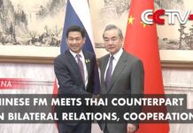 Chinese FM Meets Thai Counterpart on Bilateral Relations, Cooperation, 8 December 2023
