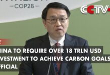 China to Require over 18 Trln USD Investment to Achieve Carbon Goals: Official, 10 December 2024