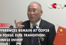 Differences Remain at COP28 on Fossil Fuel Transition: Chinese Envoy, 10 December 2024