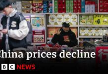 China exports grow as consumer prices fall again, 12 January 2023