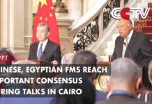 Chinese, Egyptian FMs Reach Important Consensus During Talks in Cairo, 15 January 2024