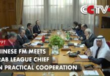 Chinese FM Meets Arab League Chief on Practical Cooperation, 16 January 2024