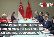 Chinese Premier, Singaporean President Vow to Advance Bilateral Ties, Cooperation, 17 January 2024
