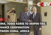 China, Togo Agree to Deepen Ties, Advance Cooperation Between China, Africa, 18 January 2024