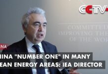 China «Number One» In Many Clean Energy Areas: IEA Director, 19 January 2024