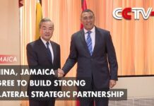 China, Jamaica Agree to Build Strong Bilateral Strategic Partnership, 21 January 2024