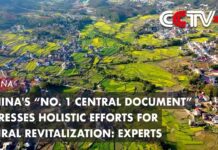 “No. 1 Central Document” Stresses Holistic Efforts for Rural Revitalization: Experts, 4 February 2024