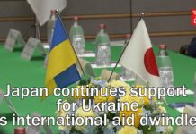 Japan continues support for Ukraine as international aid dwindles, 22 February 2024