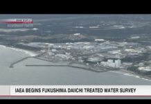 IAEA begins treated water surveyーNHK, 24 October 2023