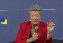 The EU loses about a million workers per year due to aging! Migration official urges legal options!, 9 January 2024