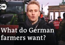 What Germany’s farmer strikes say about the mood in German society, 15 January 2024