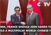 China, France Should Join Hands to Build a Multipolar World: Chinese FM, 18 February 2024