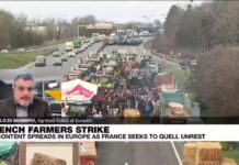 EU ‘multilateralism of trade’ in crisis, leading to bilateral agreements with ‘friendly partners’, 31 January 2024