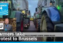 EU proposes to limit Ukraine imports, ease green rules as farmers take protest to Brussels, 1 February 2024