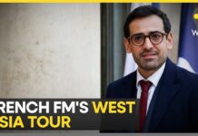 France Foreign Minister Stephane Sejourne’s West Asia tour, meets Egyptian counterpart, 5 February 2024