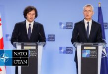 NATO Secretary General with the Prime Minister of Georgia Irakli Kobakhidze, 21 February 2024