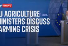 EU agriculture ministers meet in Brussels to discuss farming crisis, 26 February 2024