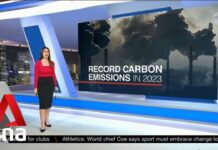 Global energy-related carbon emissions hit record high in 2023: IEA, 1 March 2024