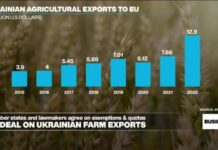 EU strikes deal to cap duty-free imports of some Ukrainian grains, 20 March 2024