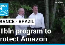 Brazil, France launch €1bln program to protect Amazon rainforest, 27 March 2024