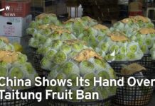 Resuming Taitung Fruit Exports Carries Political Price Tag, 26 October 2023
