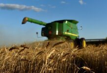 ‘Global Food Security, 6 March 2024