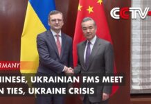Chinese, Ukrainian FMs Meet on Ties, Ukraine Crisis, 19 February 2024