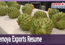 Taiwan resumes atemoya shipments to China after more than 2 years, 5 December 2023