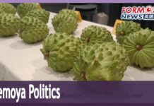 Chinese using Taitung atemoya to sway election: expert, 13 December 2023