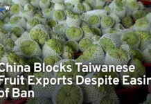 China Blocks Taiwanese Fruit Exports Despite Easing of Ban, 14 December 2023
