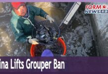 China lifts ban on imports of Taiwan grouper, 22 December 2023