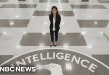 Top CIA cybersecurity official speaks out on election interference, TikTok and passwords, 30 March 2024