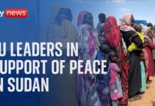 EU leaders meet in support of peace initiatives for Sudan, 15 April 2024
