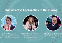 Transatlantic Approaches to De-Risking, Brussels Forum 2024