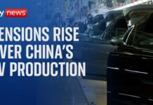 US and Europe accuse China of overproduction and dumping electric cars on global market, 26 April 2024