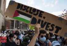 Why many universities are rejecting protester calls for divestment from Israel, 1 May 2024