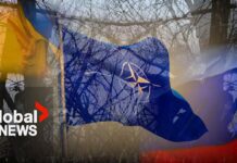 Ukraine has reclaimed half of territory lost at start of war: NATO, 16 May 2024