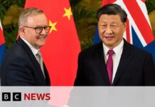 Australia PM hails progress with China after talks, 7 November 2023