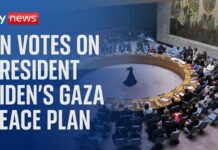 UN Security Council passes Gaza ceasefire resolution proposed by the US, 10 June 2024