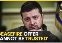 Zelensky on Putin’s peace demands: Putin’s proposals offensive to common sense, 14 June 2024