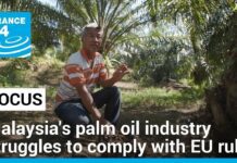 Malaysia’s palm oil industry struggles to comply with EU regulations, 22 June 2024